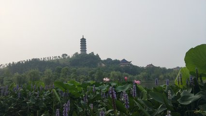 馬鞍山市當涂縣提署中路 便利生活與城市繁華的交匯點