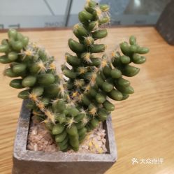 馬鞍山雨山區(qū)面包飲品團購指南 價格、地址、營業(yè)時間及美食推薦