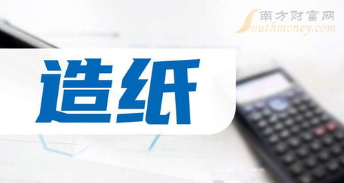 2025年中小板造紙及互聯網信息服務上市公司概覽